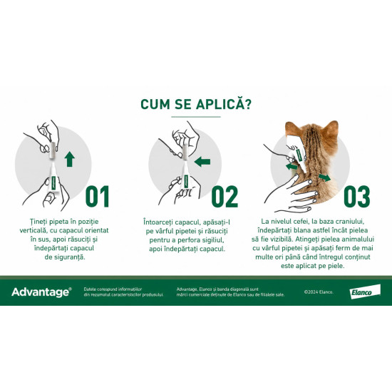 Advantage 80 – Deparazitare externa pentru Pisici și Iepuri peste 4 kg, 4 Pipete, Elanco